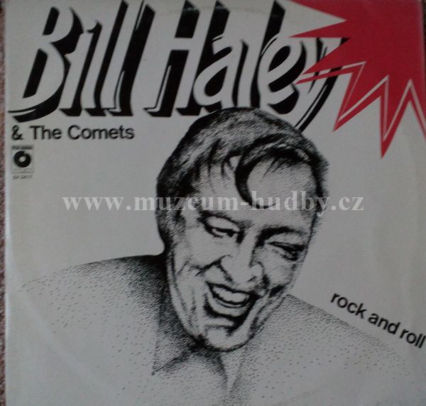 Bill Haley & The Comets