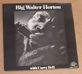 Big Walter Horton With Carey Bell