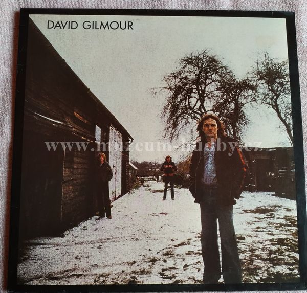 David Gilmour