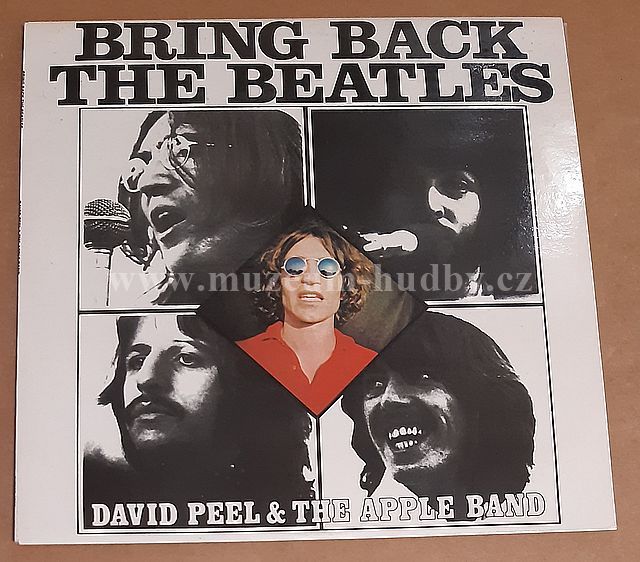 David Peel & The Apple Band