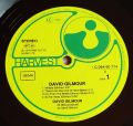 David Gilmour-David Gilmour