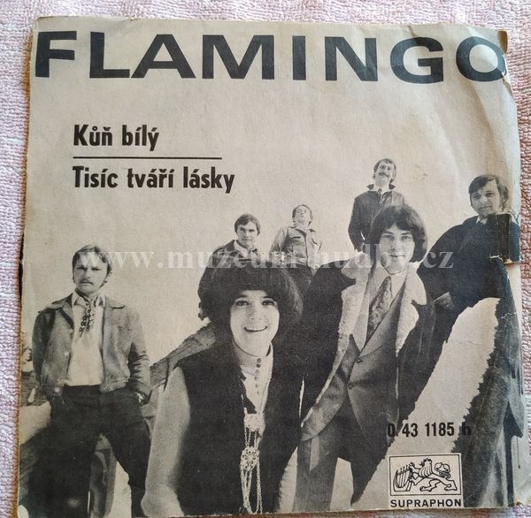 Flamingo (6), Marie Rottrová