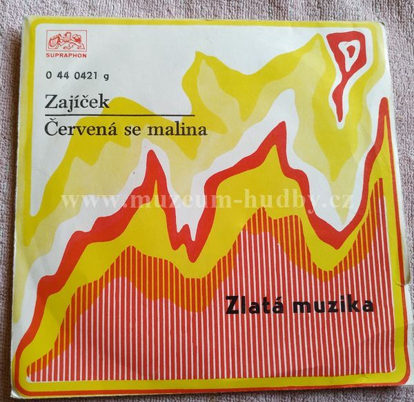 Jana Petrů, Inkognito Kvartet