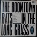 The Boomtown Rats-In The Long Grass