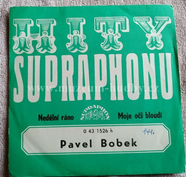 Pavel Bobek