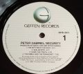 Peter Gabriel-Security