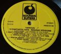 Various-12 Fantastic Hits - Reggae Versions