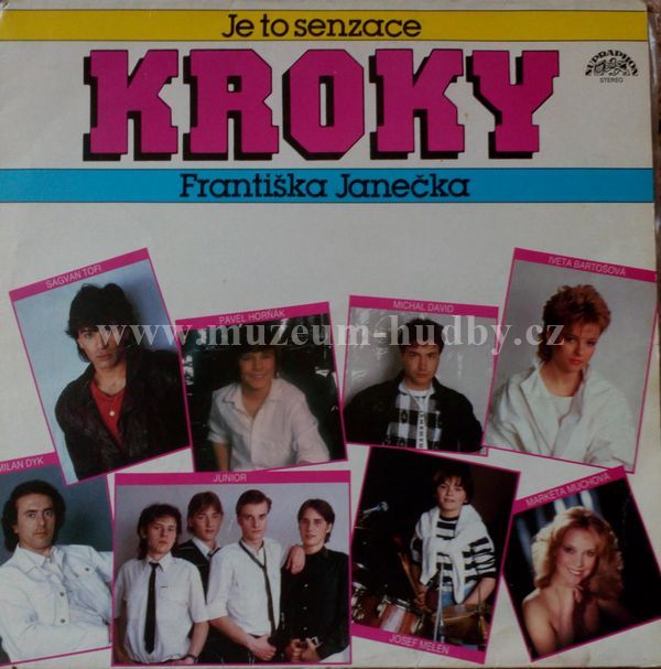 Kroky Františka Janečka