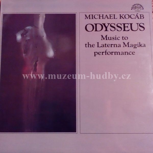 Michael Kocáb ‎