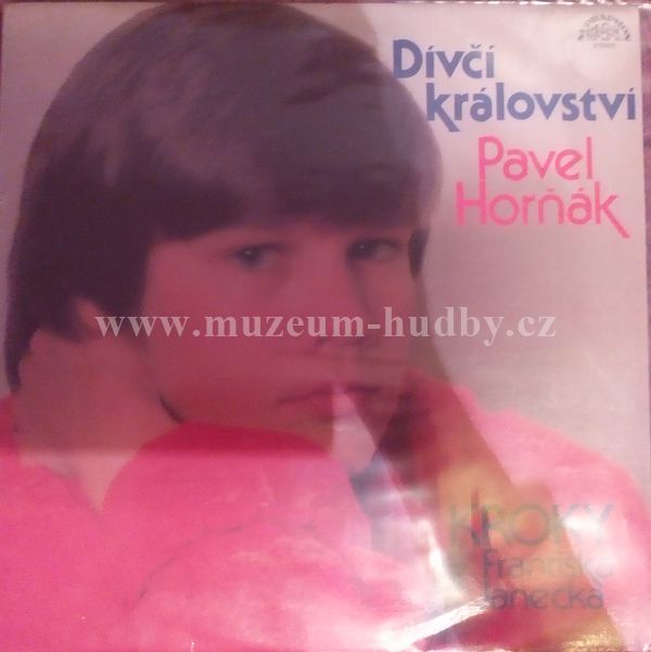 Pavel Horňák - Kroky Františka Janečka
