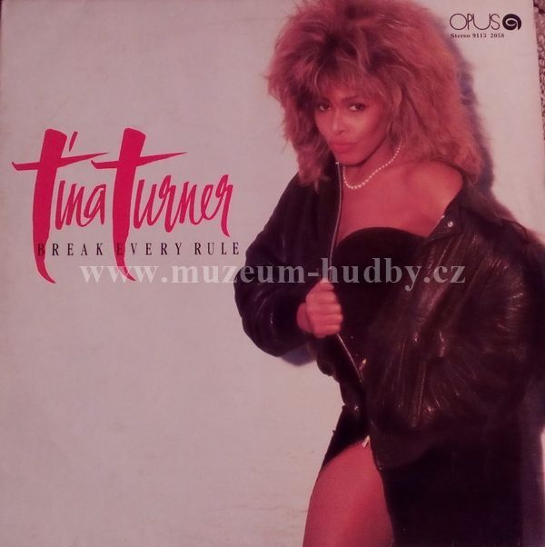 Tina Turner ‎