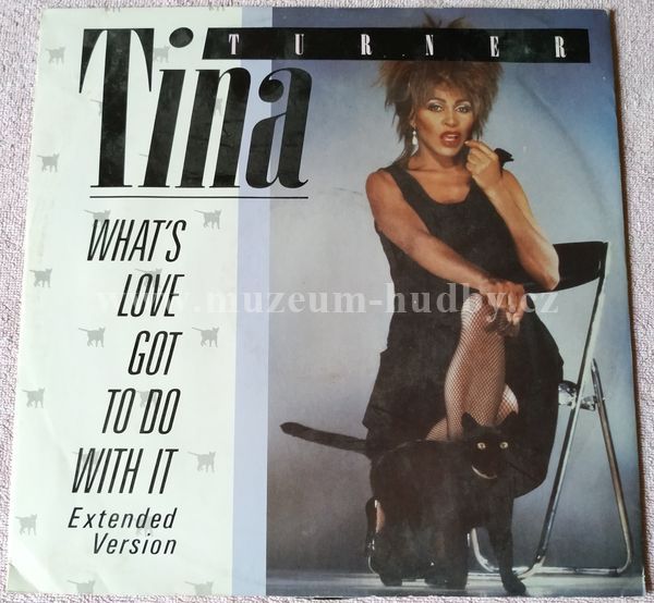 Tina Turner
