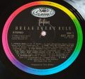 Tina Turner-Break Every Rule