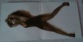 Tina Turner-Foreign Affair