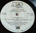 Yes-Tormato