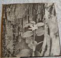 Flor Silvestre-Canciones Con Alma