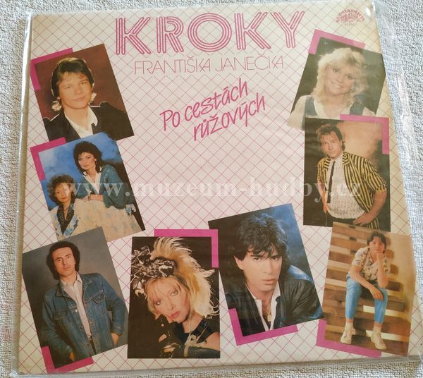 Kroky Františka Janečka