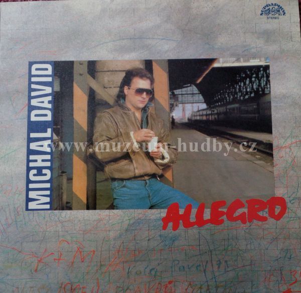 Michal David, Allegro