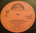Marie Rottrová-Divadélko Pod Věží