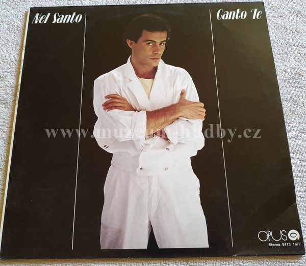 Nel Santo