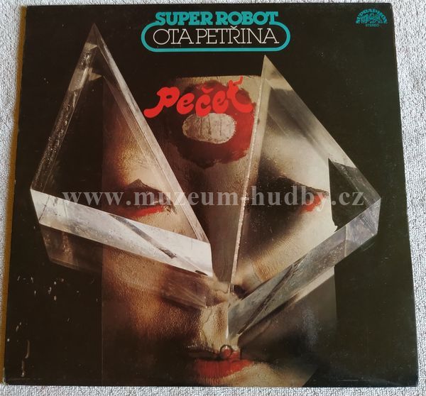 Ota Petřina, Super Robot