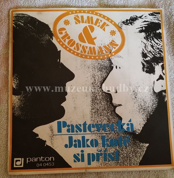 Šimek & Grossmann