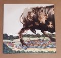 BullAngus-BullAngus