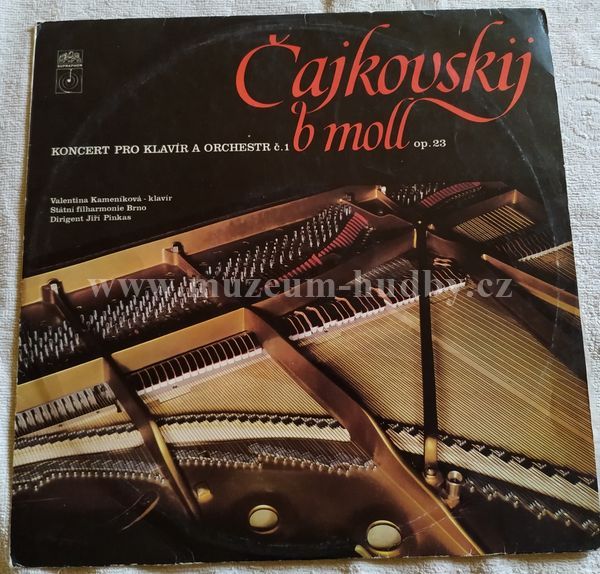 Čajkovskij, Valentina Kameníková, Státní Filharmonie Brno, Jiří Pinkas