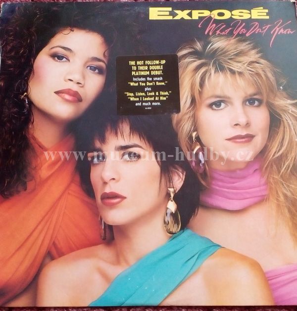 Exposé ‎