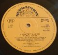 Karel Gott-Country Album