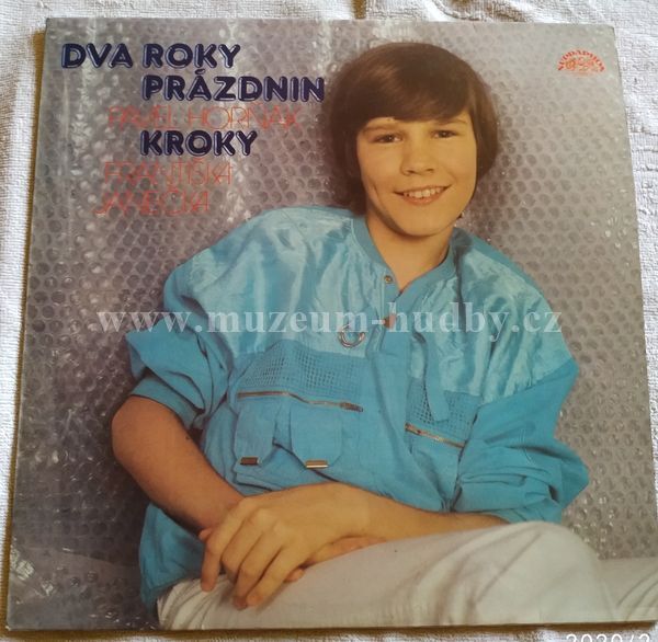 Pavel Horňák, Kroky Františka Janečka
