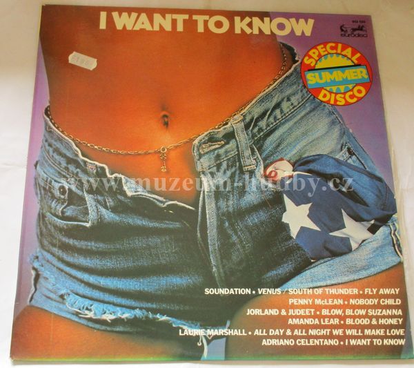 A Special Summer Disco Album