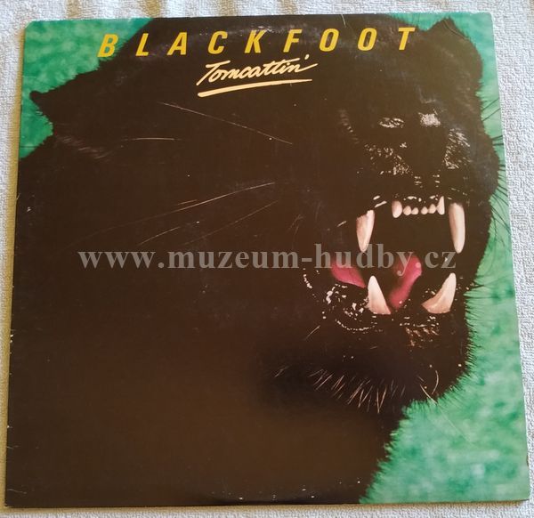 Blackfoot