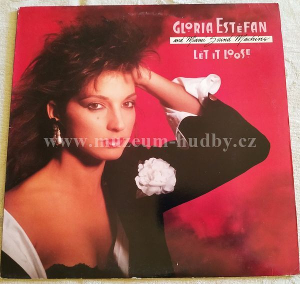 Gloria Estefan And Miami Sound Machine