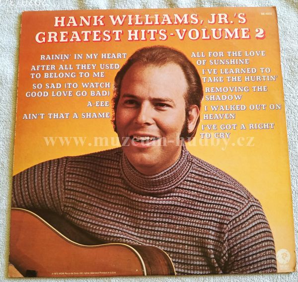 Hank Williams Jr.