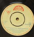 Helena Vondráčková-Kvítek Mandragory / Souhvězdí