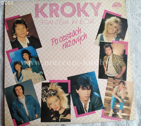 Kroky Františka Janečka