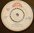 Mister K-Popcorn / Synthetic Sister N 1