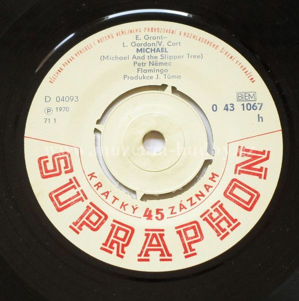 Petr Němec, Flamingo