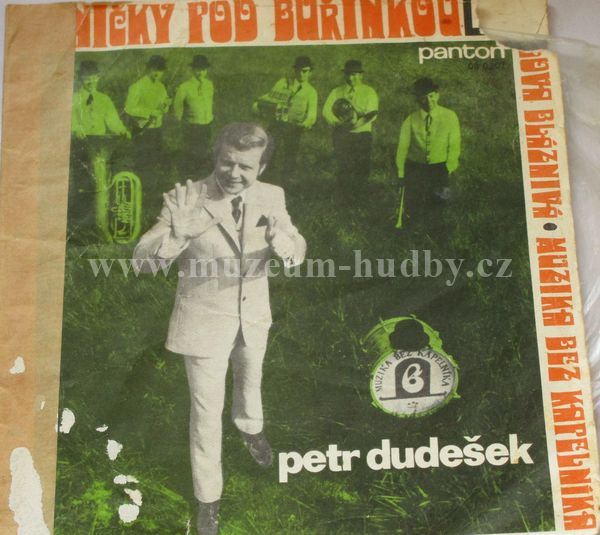 Petr Dudešek, Muzika Bez Kapelníka