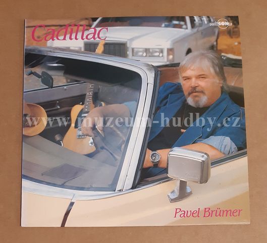 Pavel Brümer
