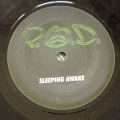 P.O.D.-Sleeping Awake / Bruises