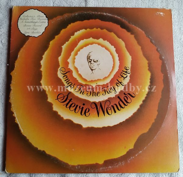 Stevie Wonder