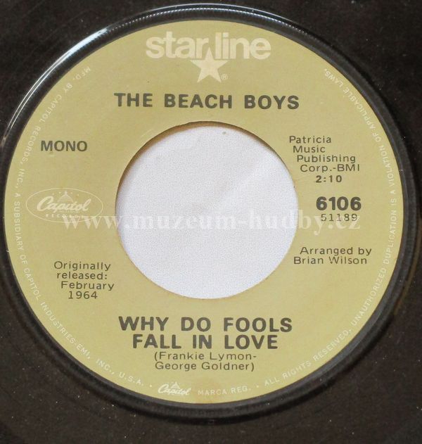 The Beach Boys