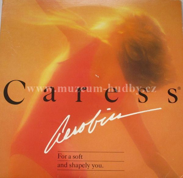 Thomas J. Valentino, Inc.