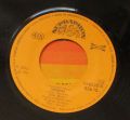 Viktor Sodoma A Josef Melen-Halabala Rock'n Roll (Rock'n Roll Is King) / Moucha