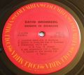 David Bromberg-Demon In Disguise