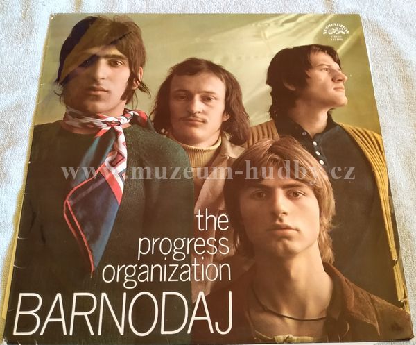 The Progress Organization