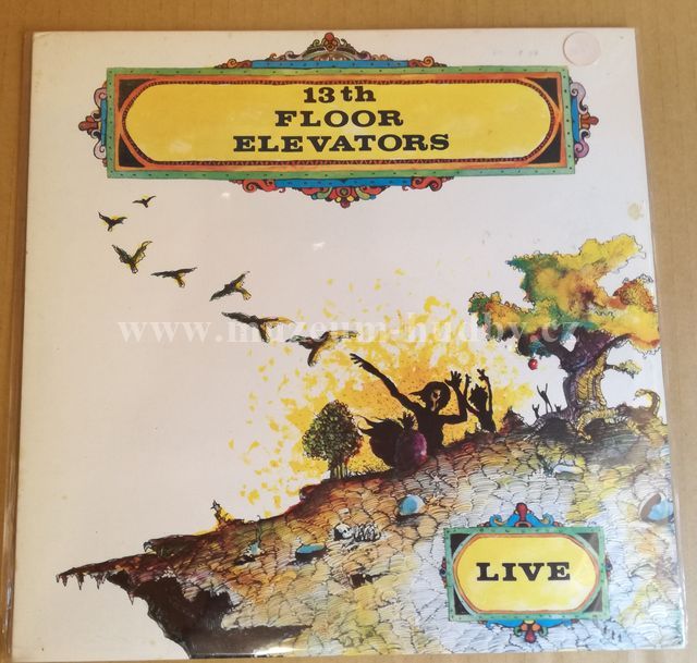 13th Floor Elevators