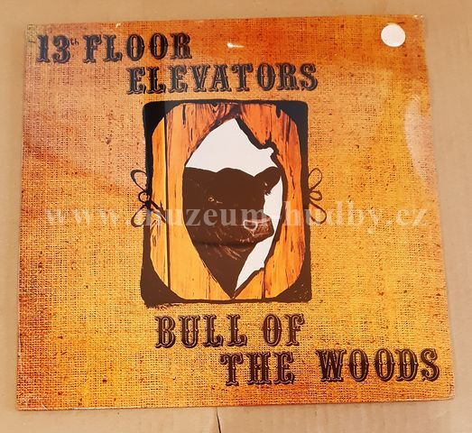 13th Floor Elevators